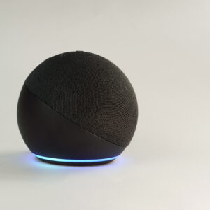 Smart Voice Assistant Speaker
